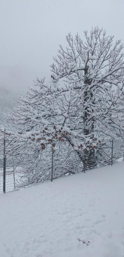 La Casetta Della Nonna Sant'Anna Pelago Bagian luar foto