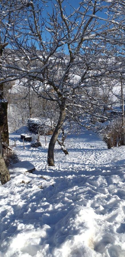 La Casetta Della Nonna Sant'Anna Pelago Bagian luar foto