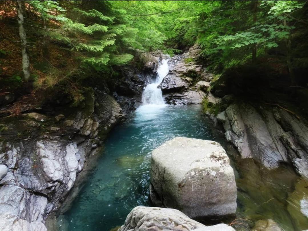 La Casetta Della Nonna Sant'Anna Pelago Bagian luar foto